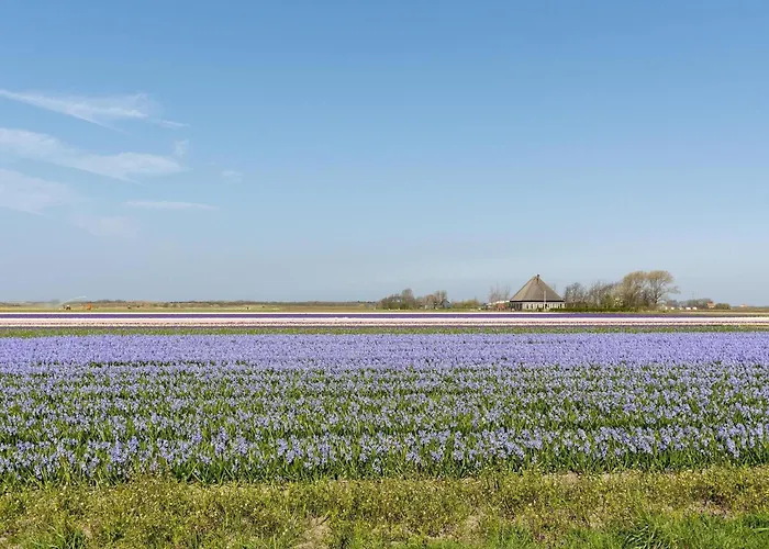 Villa In Near Sandy Julianadorp