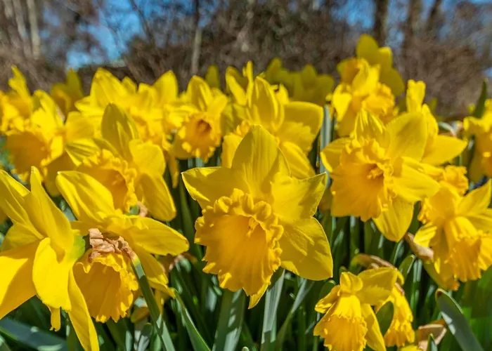 Villa In Near Sandy *